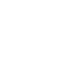 Image module